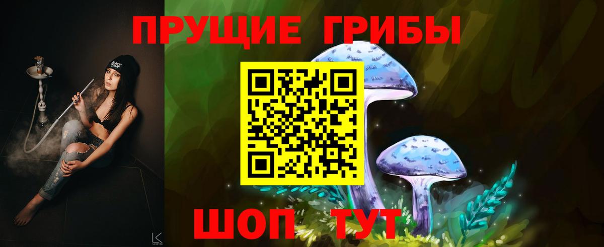 Шатура  Псилоцибиновые грибы MAGIC MUSHROOMS  как найти наркотики  Галлюциногенные грибы Psilocybe  Вход с VPN 